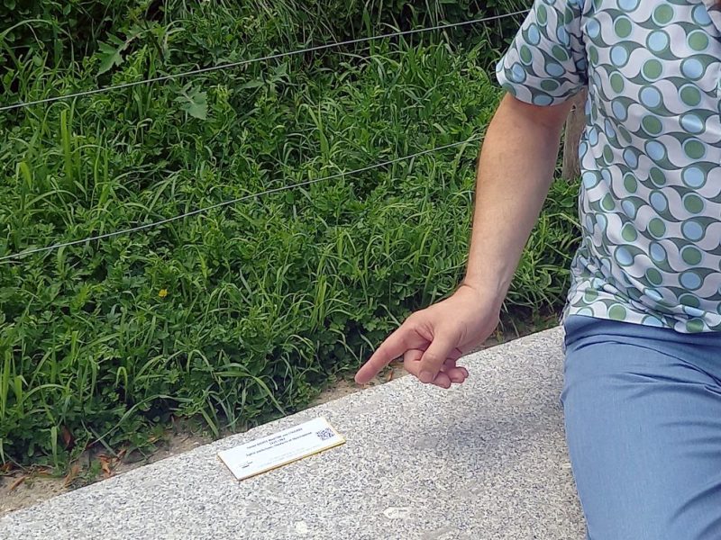 Des bancs pour des Rouennaises inspirées